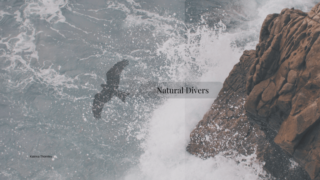 Natural Divers